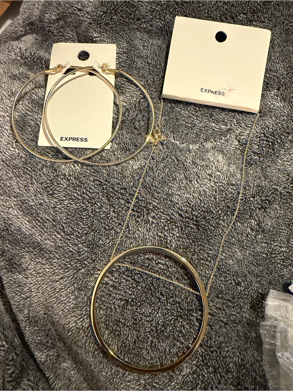 NWT - Express Gold Hoop Necklace and Matching Hoop Earrings